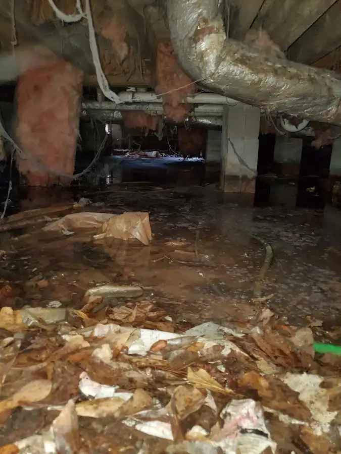 Crawl space flood assessment for Commercial Water Damage Restoration in Lake Los Angeles